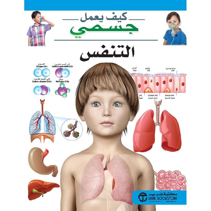 التنفس  سلسلة كيف يعمل جسمي