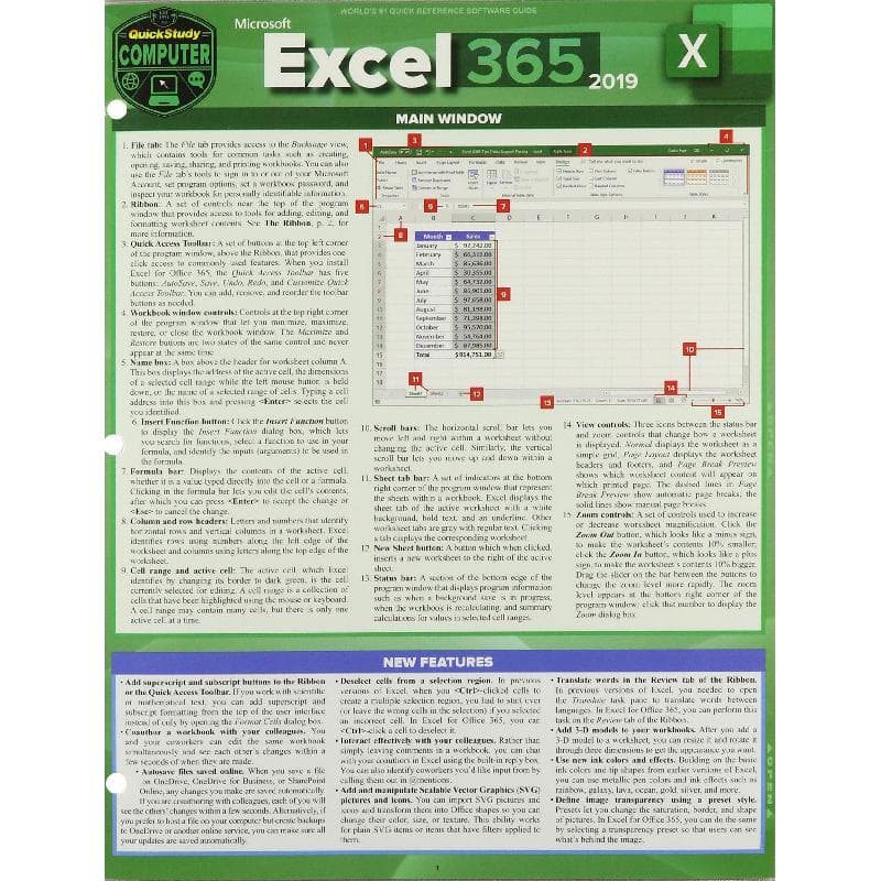 Microsoft Excel 365 2019 (Quickstudy Reference Guide)