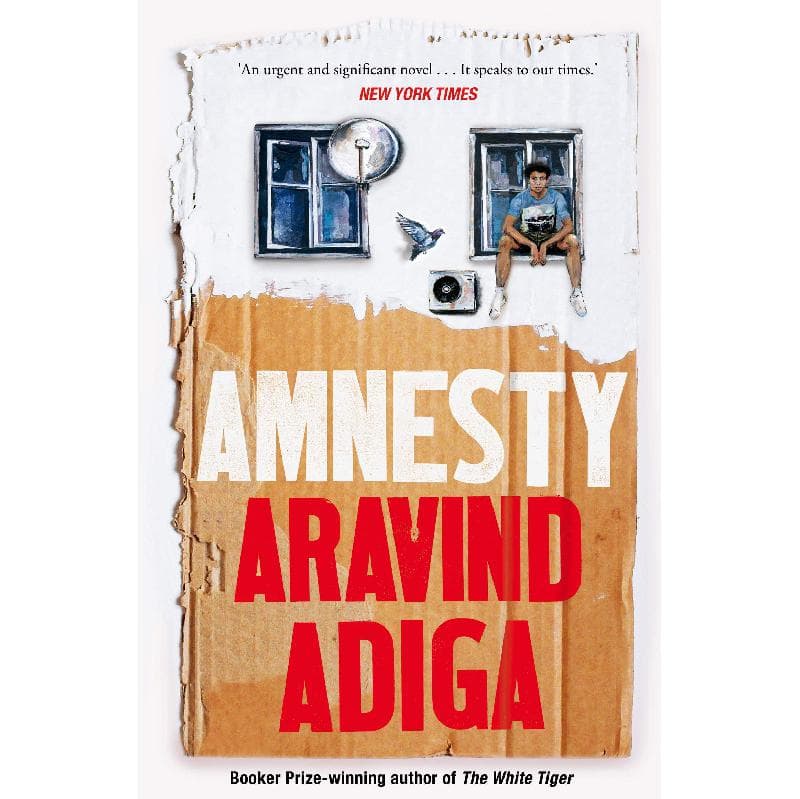 Amnesty