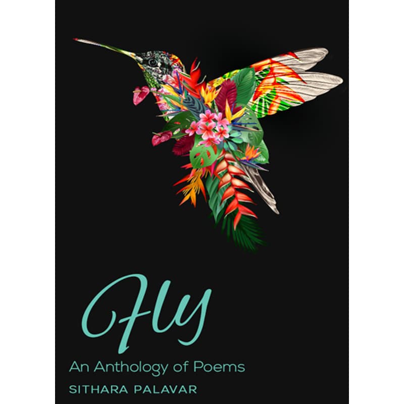 Fly, eBook