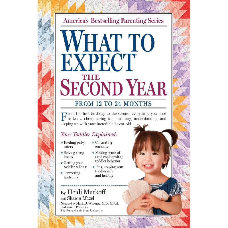 What to Expect the Second Year: From 12 to 24 Months