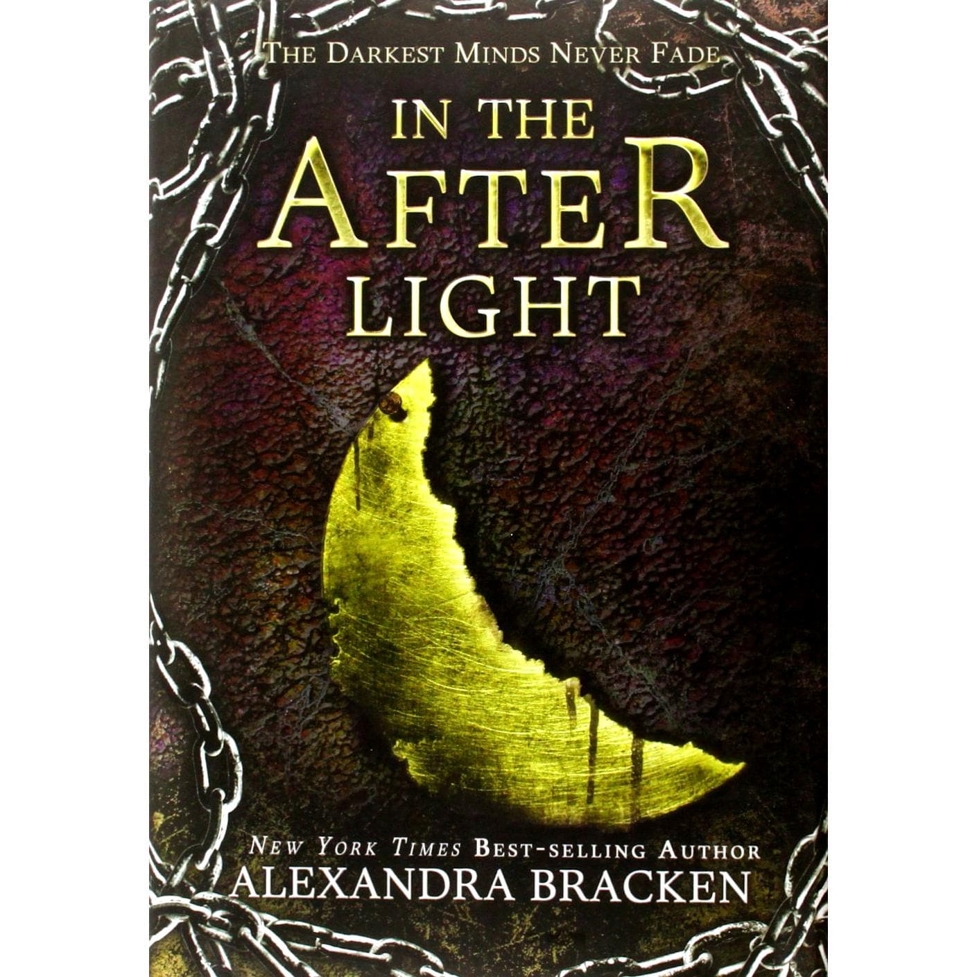 In the Afterlight: Book 3 (A Darkest Minds Novel)
