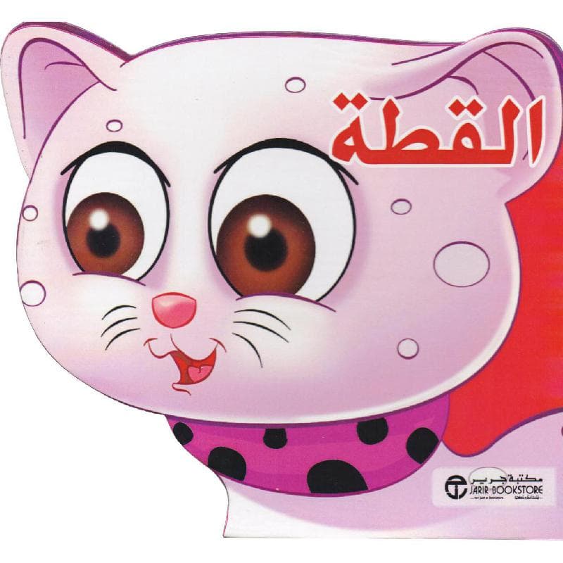 القطة