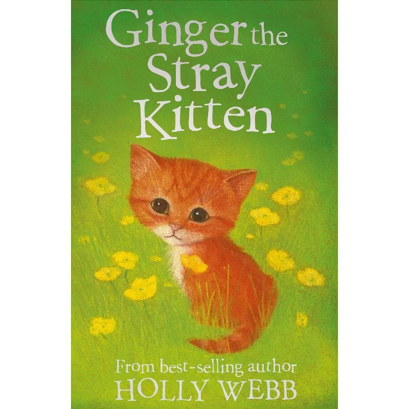 Ginger The Stray Kitten