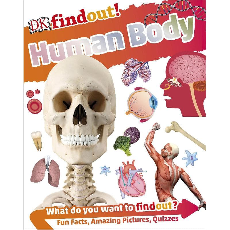 Human Body (DK Find Out!)