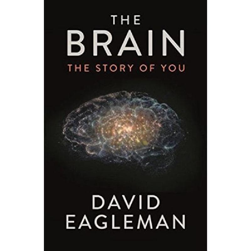 The Brain - The Story of You