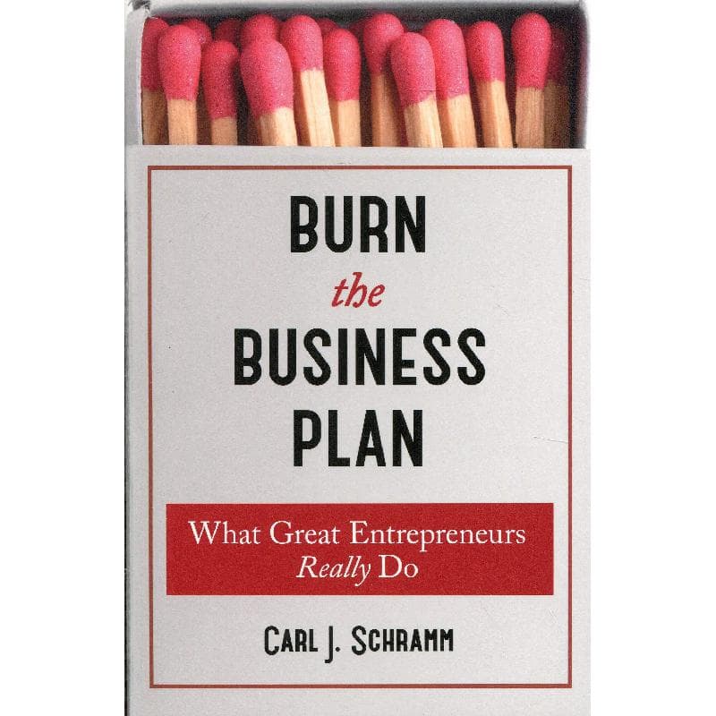 Burn The Business The Plan