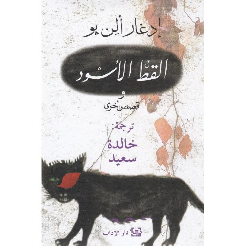 القط الاسود