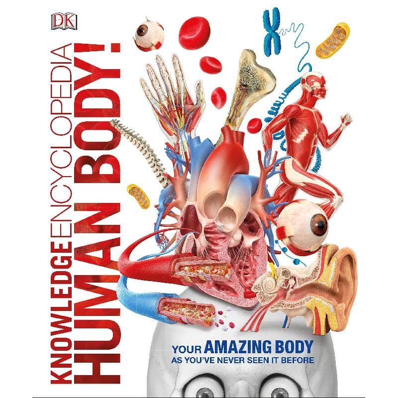 Human Body!