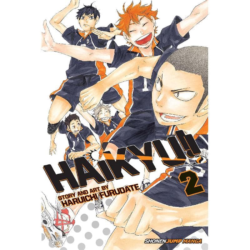 Haikyu!!: The View from The Top, Book 2