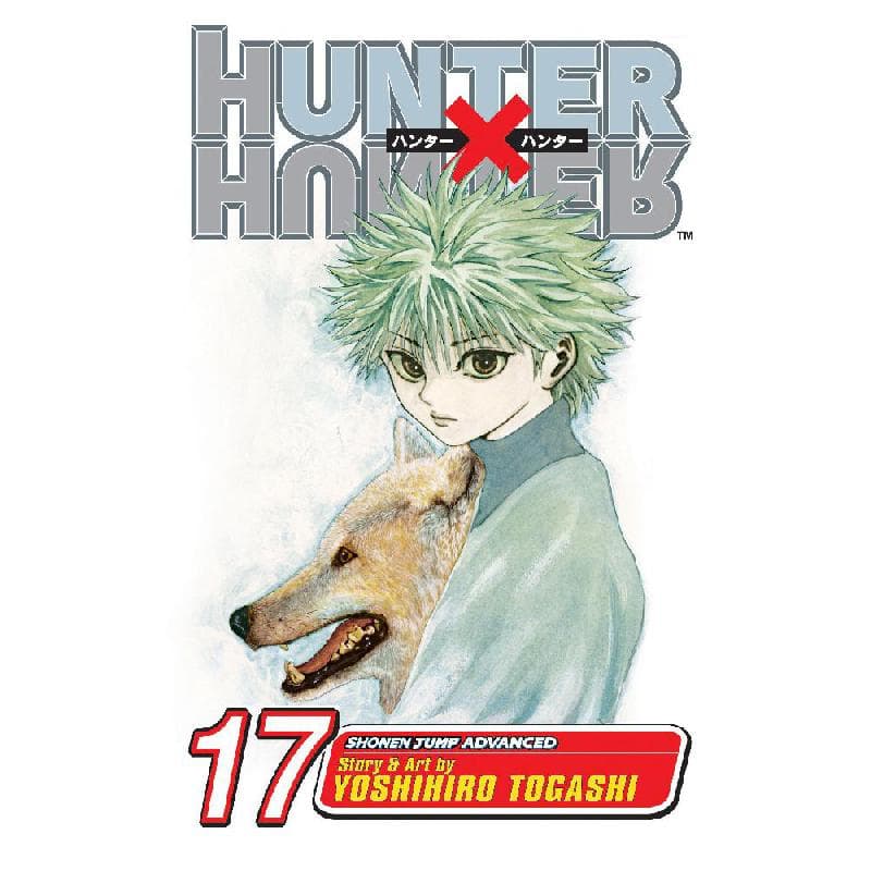 Hunter X Hunter: A Fierce Three-Way Battle, Volume 17