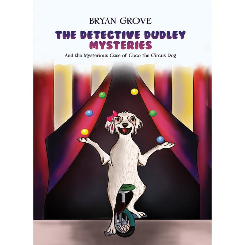 The Detective Dudley Mysteries, eBook