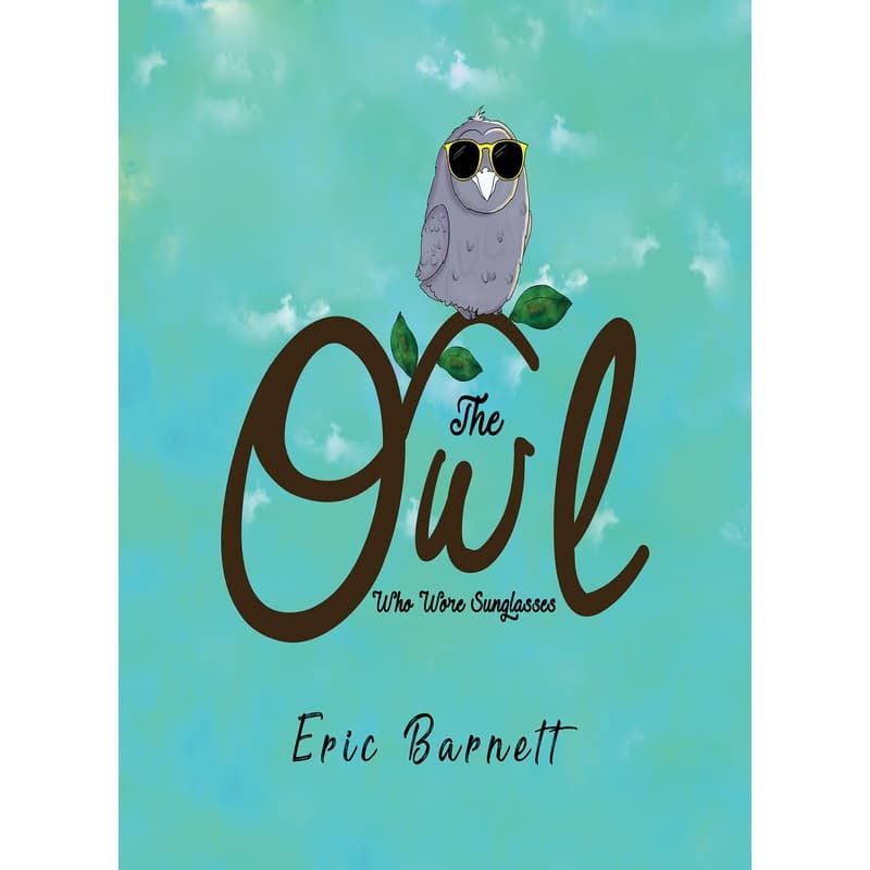 The Owl Who Wore Sunglasses, eBook