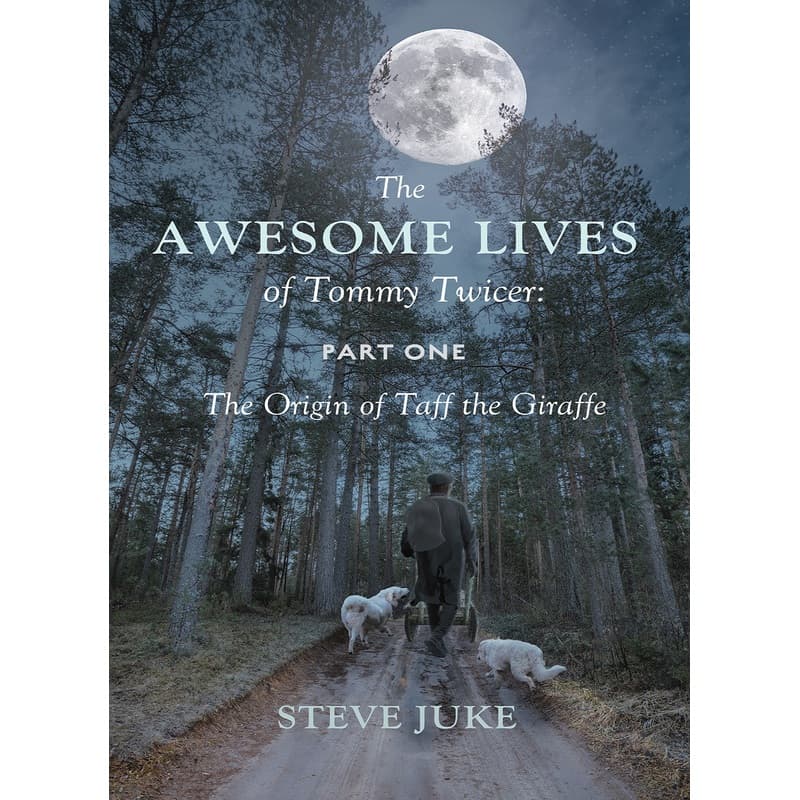 The Awesome Lives of Tommy Twicer: Part One, eBook