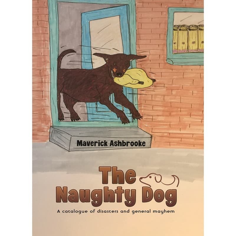 The Naughty Dog, eBook