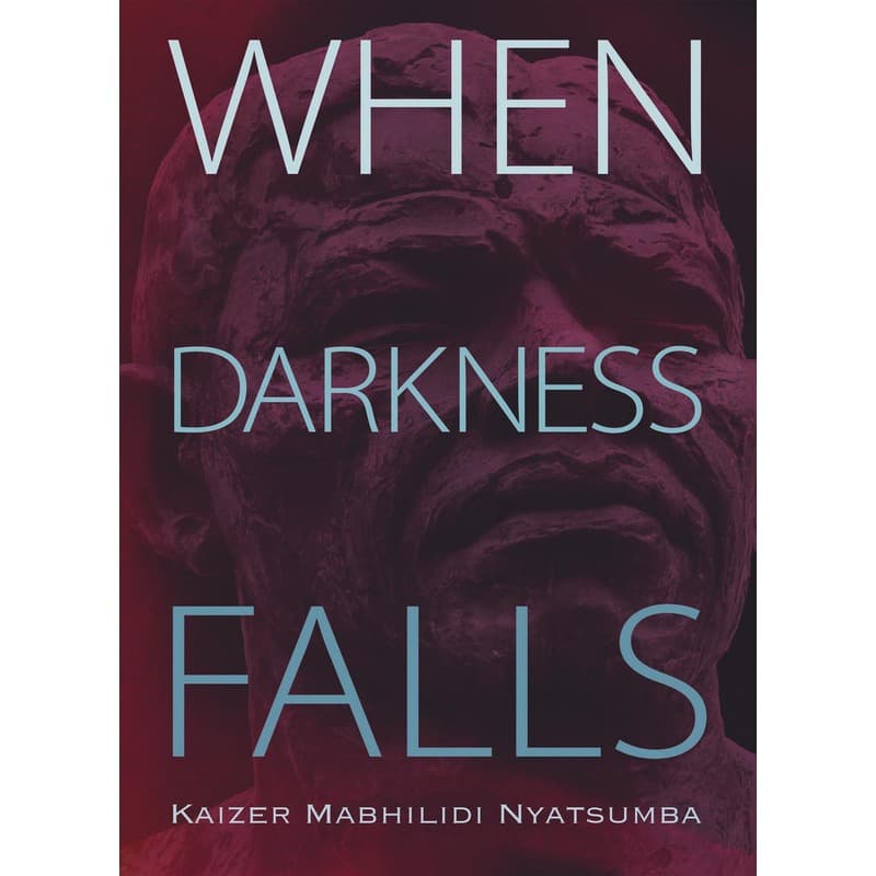 When Darkness Falls, eBook
