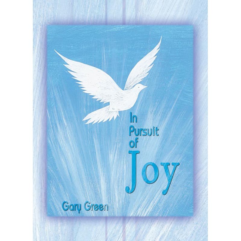 In Pursuit of Joy, eBook