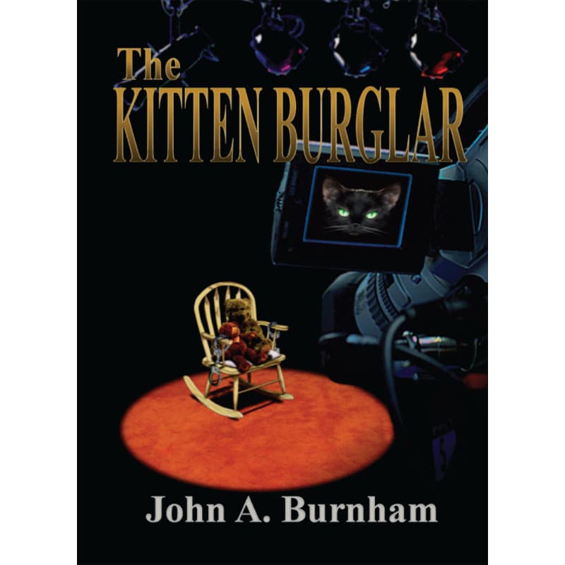 The Kitten Burglar, eBook