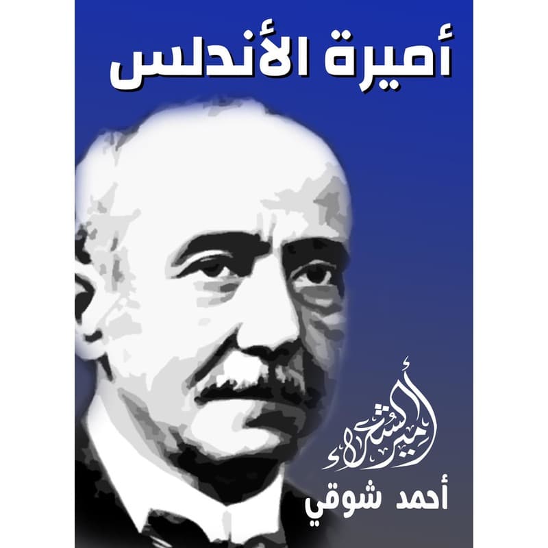 أميرة الأندلس, eBook