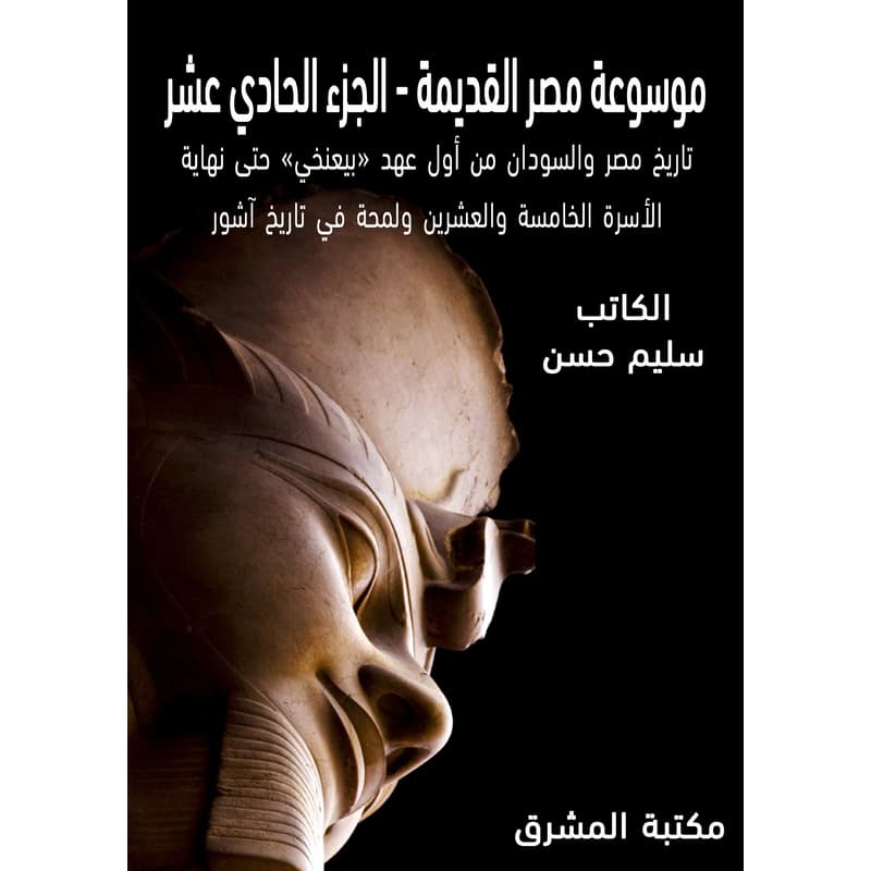 تاريخ مصر والسودان من أول عهد «بيعنخي» حتى نهاية الأسرة الخامسة والعشرين ولمحة في تاريخ آشور, eBook