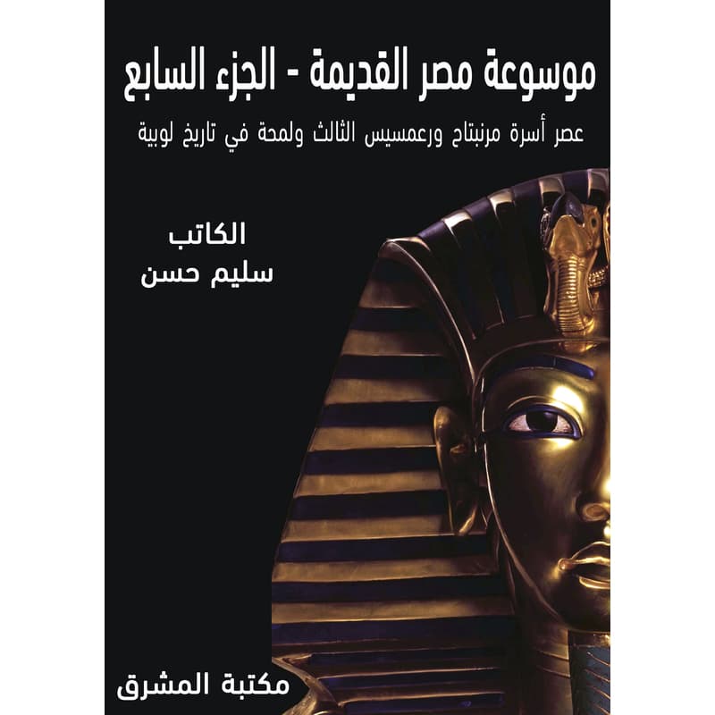 عصر أسرة مرنبتاح ورعمسيس الثالث ولمحة في تاريخ لوبية, eBook