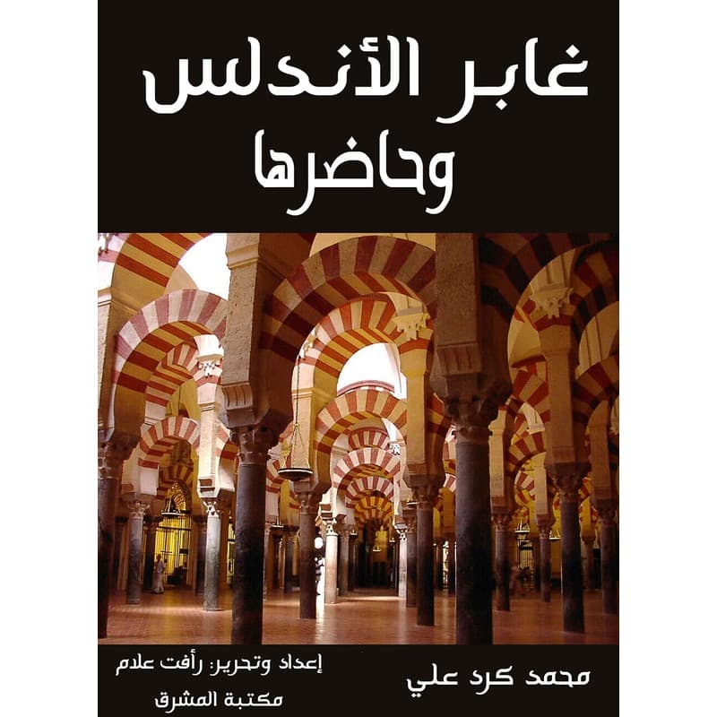غابر الأندلس وحاضرها, eBook
