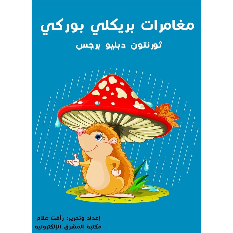 مغامرات بريكلي بوركي, eBook