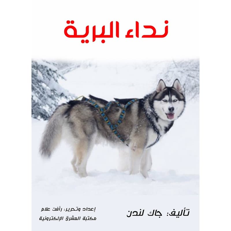نداء البرية, eBook