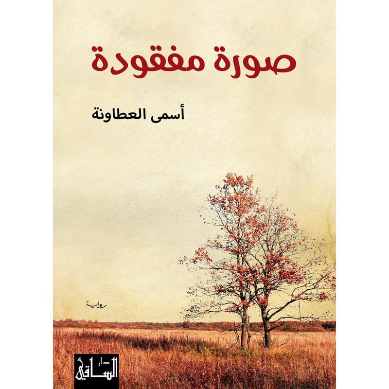 صورة مفقودة, eBook