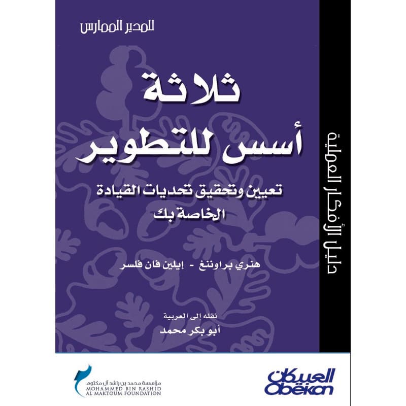 ثلاثة أسس للتطوير, eBook