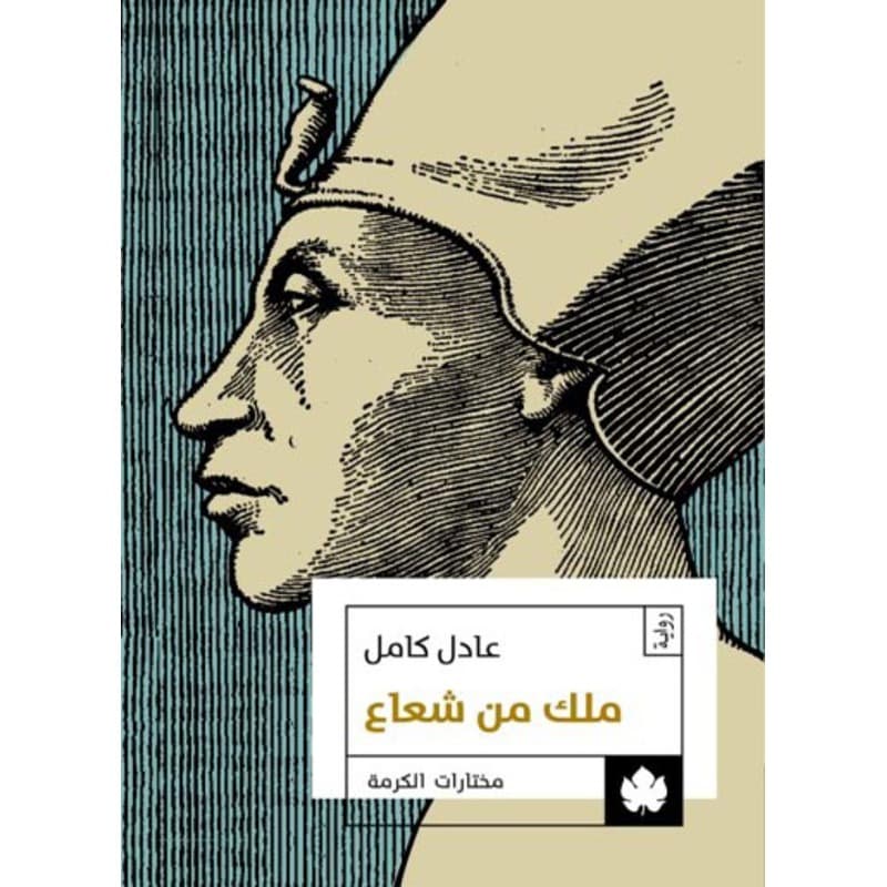ملك من شعاع, eBook