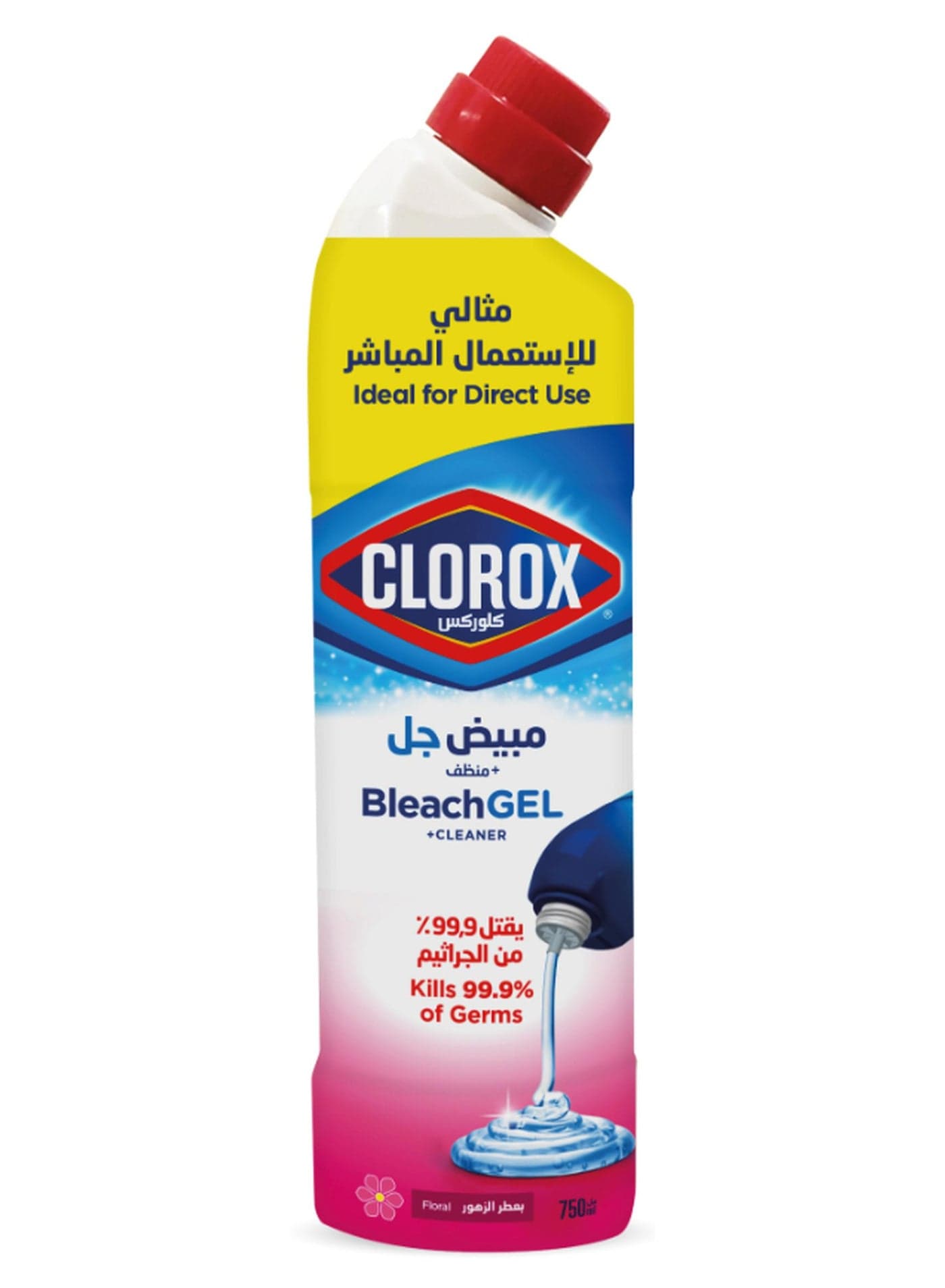 Floral Magic Clorox Plus Cleaner Gel 750ml