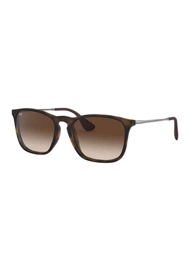 Chris Square Sunglasses - RB4187 - Lens Size: 54 mm - Brown