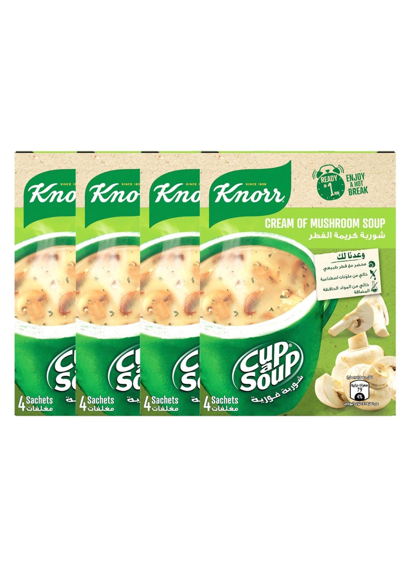 Cream Of Mushroom Soup 20grams