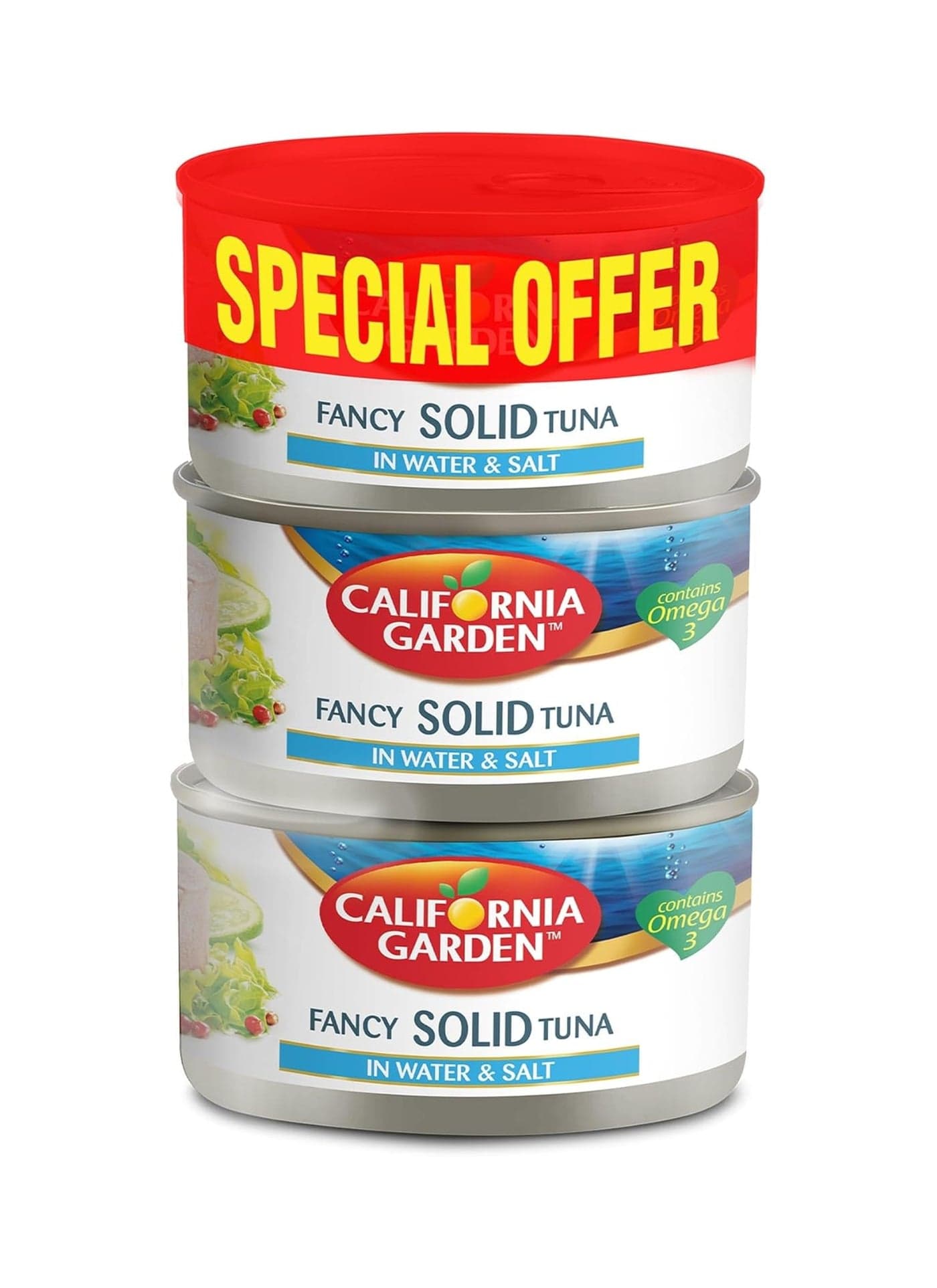 Fancy Solid Tuna In Water And Salt 170grams Pack of 3
