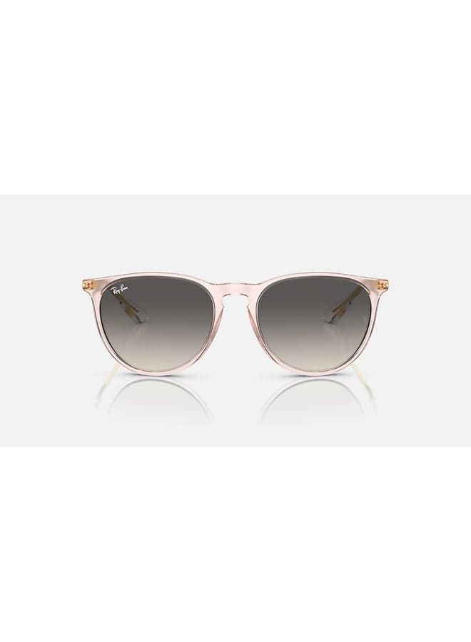 Women's Full Rim Oval Sunglasses 0RB4171 54 674211