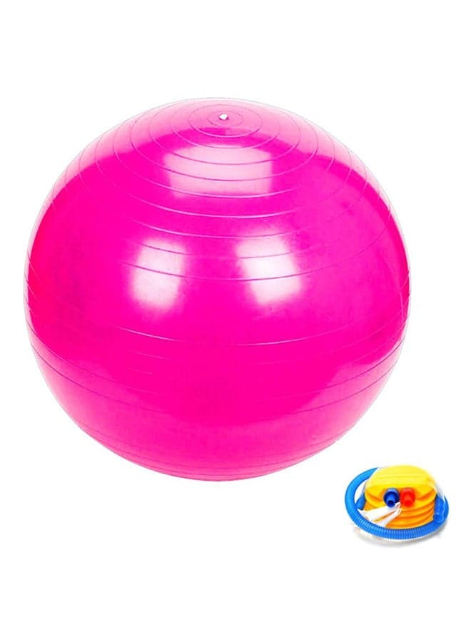 Gym Exercise Swiss Ball 65cm 65cm