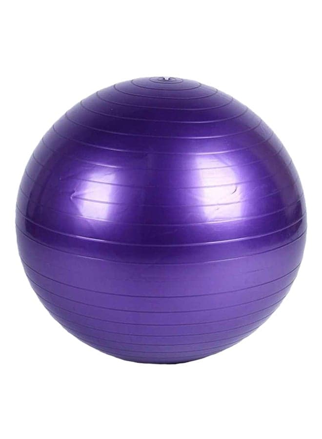 Exercise Pilates Balance Yoga Swiss Ball - 55cm 55cm