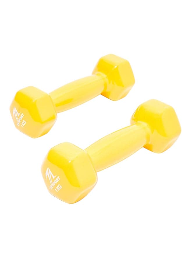 2-Piece Hex Vinyl Dumbell 1kg