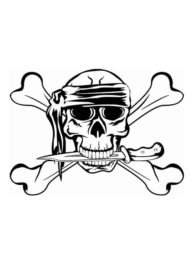 Car Sticker Printing On Vinyl Sticker 15X15 cm Black