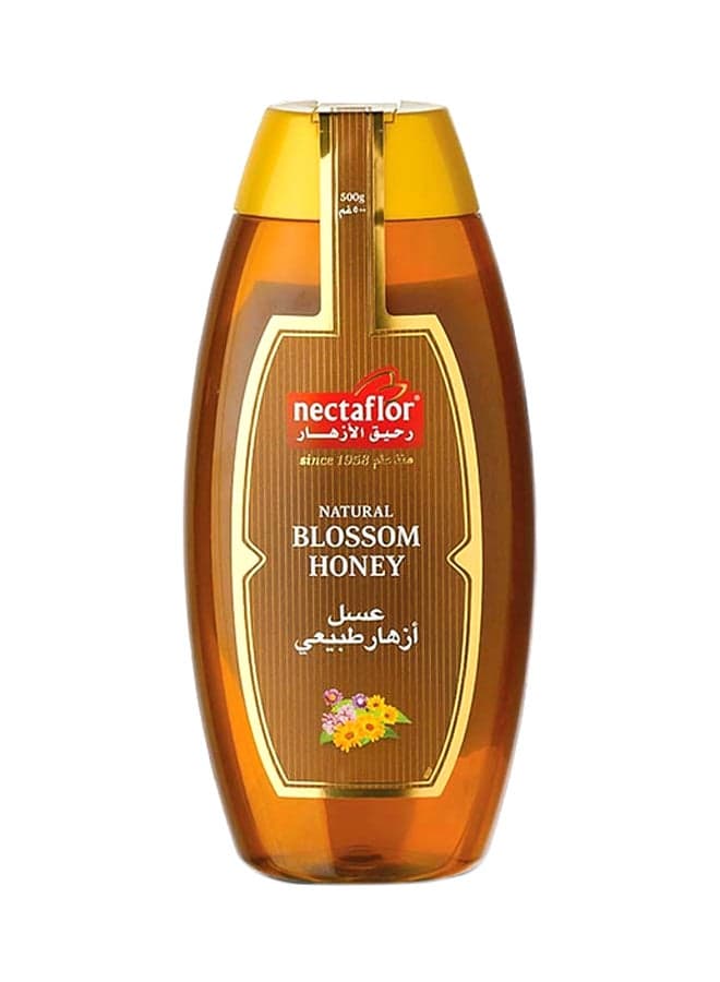 Natural Blossom Bee Honey Squeeze 500grams