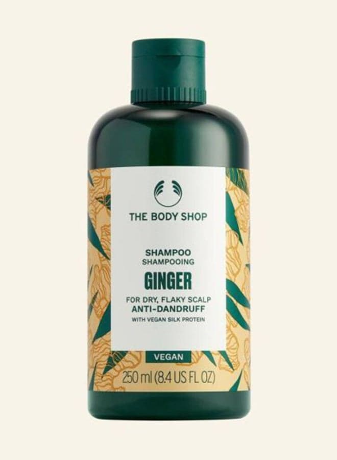 Ginger Anti Dandruff Shampoo – Refreshing Scalp Treatment with Ginger & Birch Bark Extract | Soothes Itchy Scalp, Reduces Dandruff, Strengthens Hair | Adds Moisture, Volume & Promotes Hair Growth | Dermatologically Tested 250ml