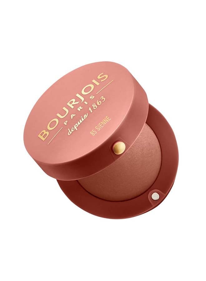 Little Round Pot Blusher 2.5 g 85 Sienne