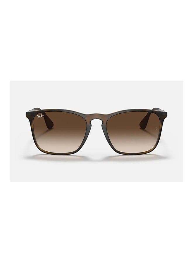 Unisex Square Shape Sunglasses - 4187 856 13 - Lens Size:  54 Mm