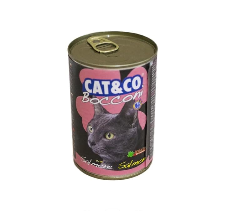 Cat & Co Wet Cat Food Salmon 405 g
