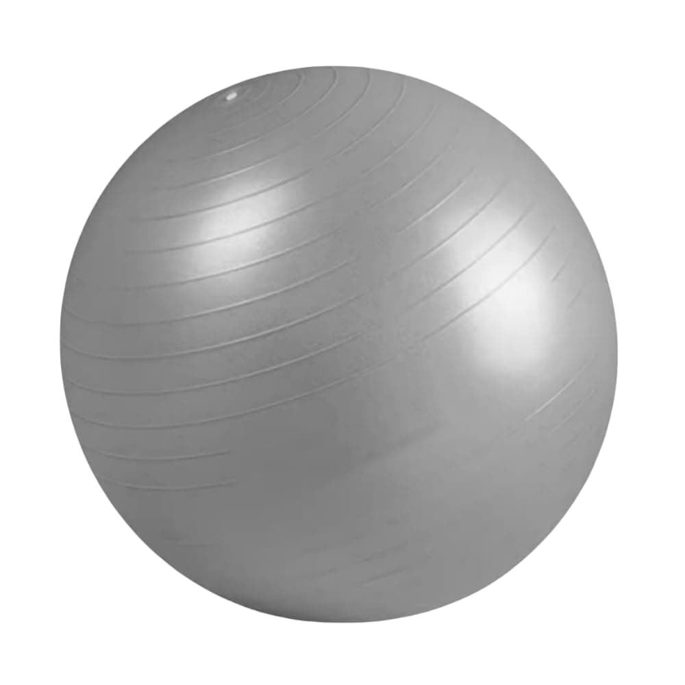 Joyzzz Fitness Ball, Extra Thick 55cm Burst-Proof Yoga Ball with Fast Pump for Home Gym Pilates Fitness for Sports Training Physical Therapy and Pregnancy Birthing Ball
