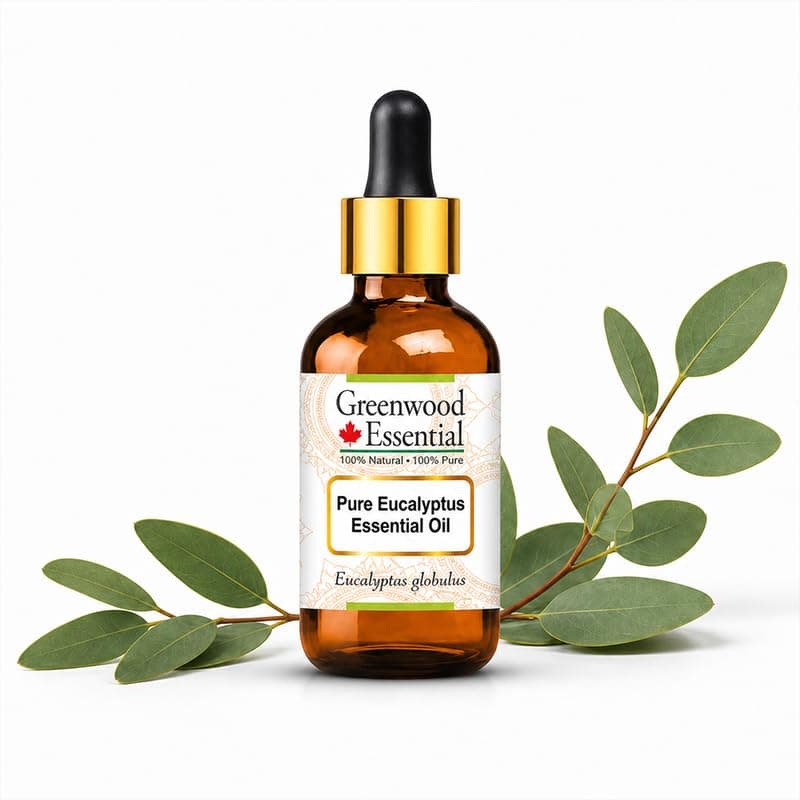 Greenwood Essential Eucalyptus Essential Oil (Eucalyptus globulus) - 0.50 Fl Oz (15ml) - 100% Natural Eucalyptus Oil - for Hair Care, Massage & Aromatherapy - with Dropper