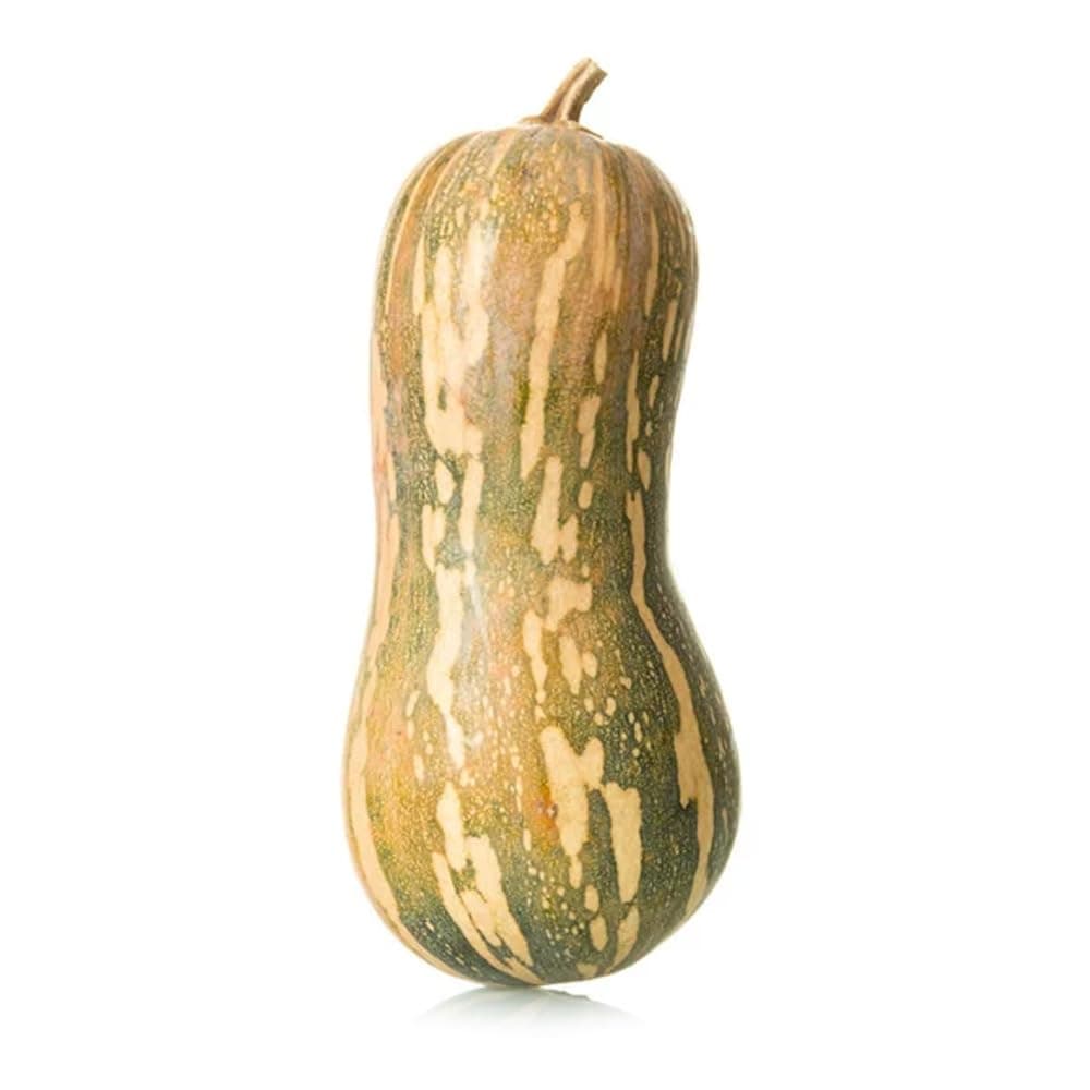 ZOD Butternut Squash Sweet Local