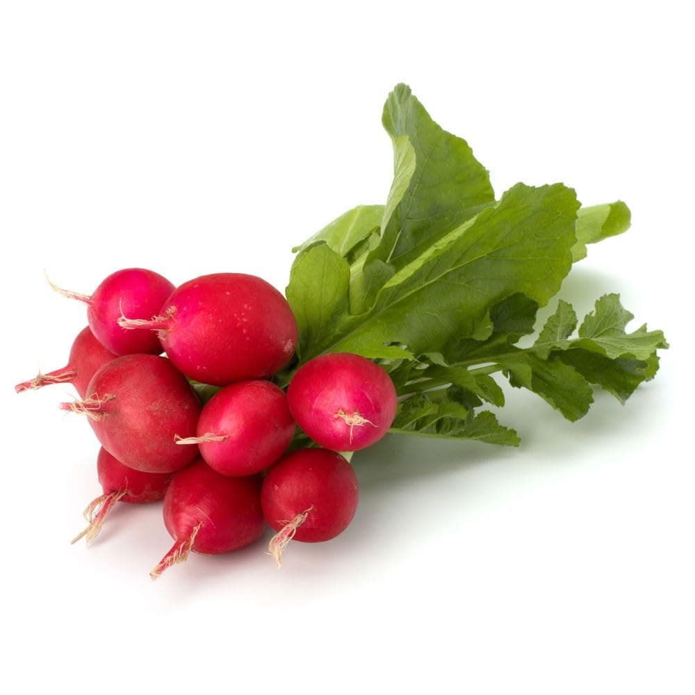 ZOD Red Radish, SA, 1 Bunch