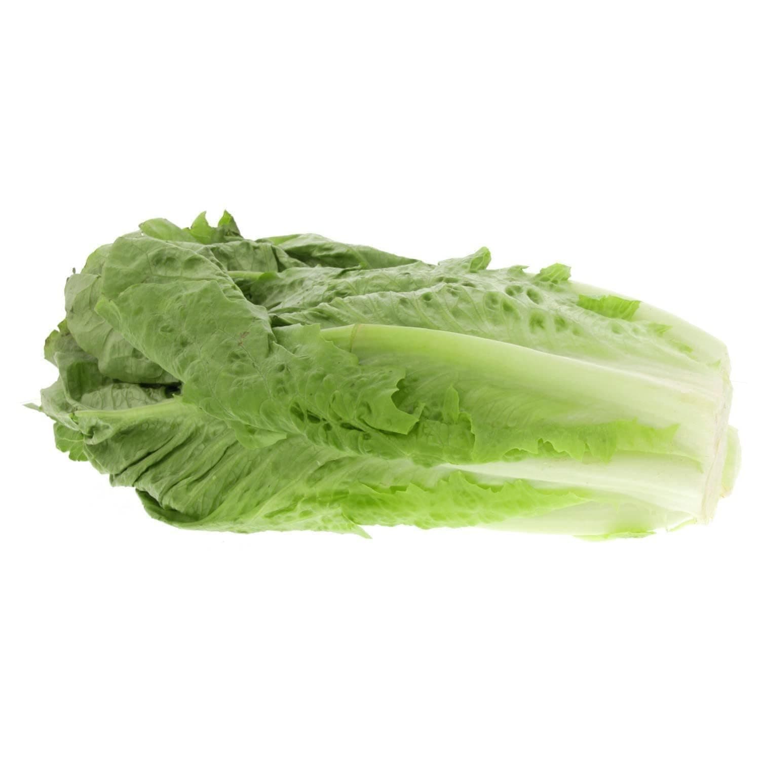 Fresh Lettuce Romaine Import 1pc